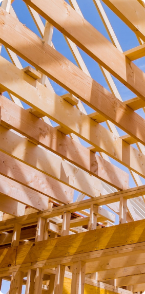 So Wood Votre Professionnel En Construction N1