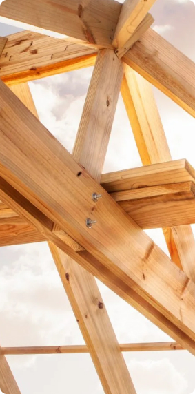 So Wood Structure Bois H1 N1